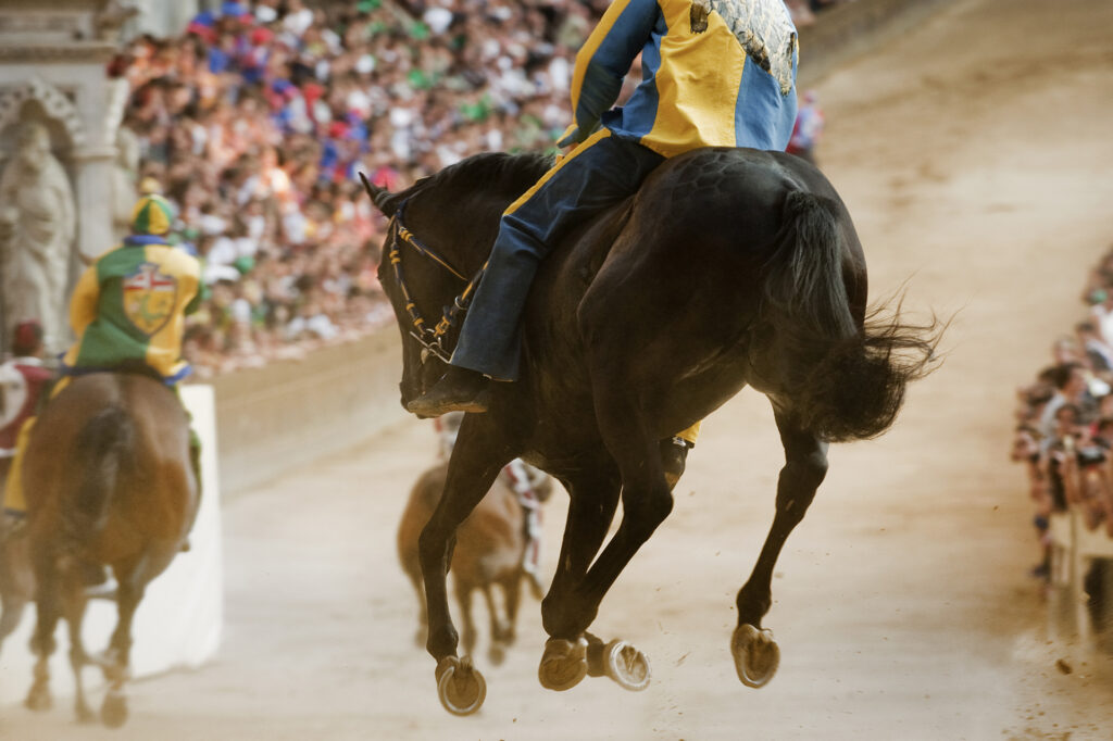 PALIO DI SIENA