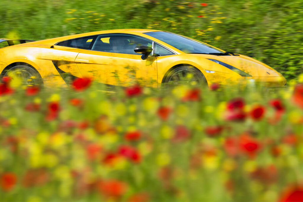 LAMBORGHINI AVENTADOR - 1000 MIGLIA